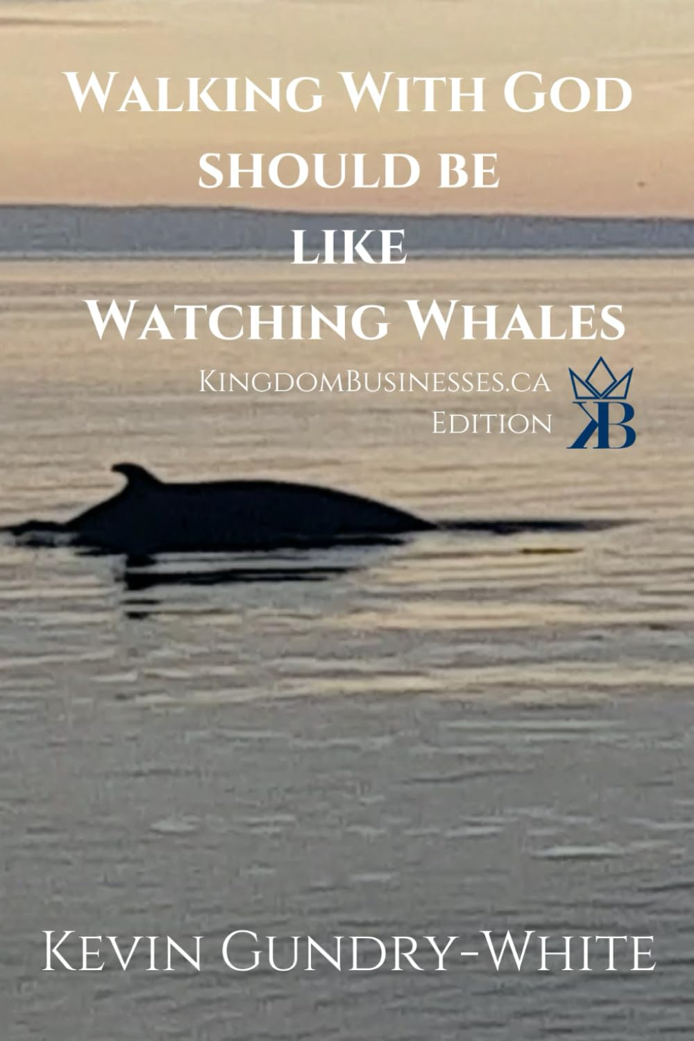 Walking with God should be Like Watching Whales book cover